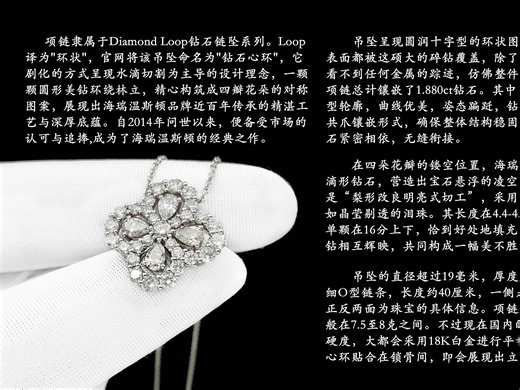 HW海瑞温斯顿Diomond Loop系列Pt950铂金满镶钻石大号心环项链