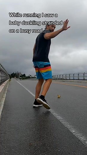 Save a baby duck ✅ #rescue #babyanimal #cute #babyduck #duck #mothergoose #paperairplane #topgun #aerodynamics #physics #nosedive #duckling #gosling #ryangosling #bridge #animalrescue @tomcruise @deeptomcruise #kylesthenix | Animal Rescue