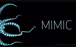 背锅侠带你手把手安装一套Ceph分布式存储——欢迎来到Ceph世界！