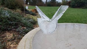 Nature's wonder: How did this frozen 'ice bird' appear on this bird bath?