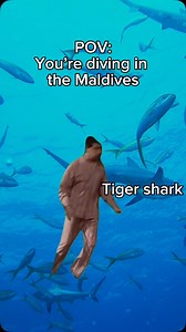 111K views · 12 reactions | Diving in the Maldives offers one of the...