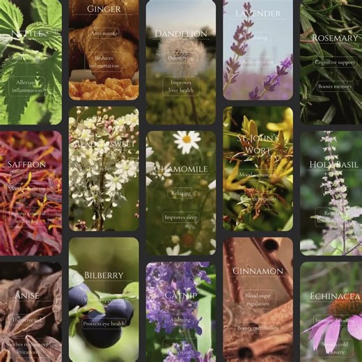 50 Herbal Highlight Reels: Minimalist Wellness Social Media Templates (editable in Canva) - Etsy