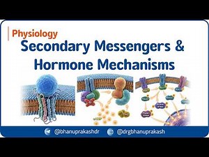 5. Secondary Messengers & Hormone Mechanisms 💧🧬 | Endocrine Physiology | USMLE & NEET-PG