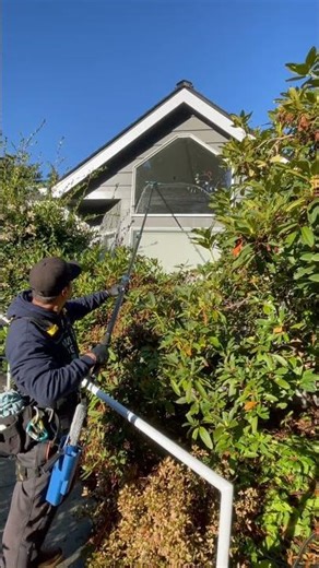 Window Cleaning with a Pole