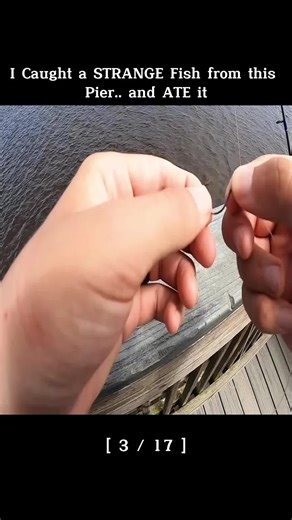 First State Fishing on TikTok