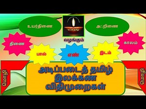 உயர்திணை, அஃறிணை அடிப்படைத் தமிழ் இலக்கண விதிமுறைகள்