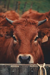 Agrarius - 27four Group of Companies