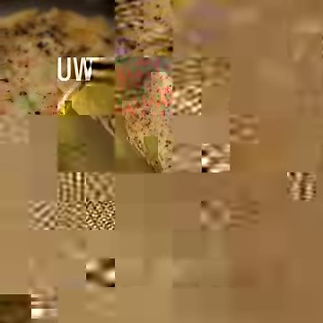 Follow this method and you'll never cook another dry chicken breast in your life. BOOKMARK IT: | The Kitchn