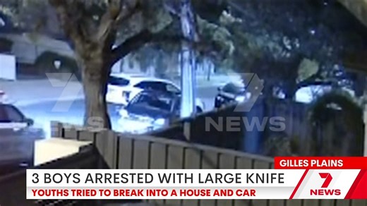 Three armed boys, including one just 12 years old, have been caught red-handed during an attempted crime spree at Gilles Plains. Police swooped on the young suspects who were carrying a large knife. | 7NEWS Adelaide