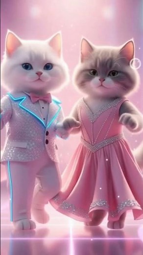 The Cutest Cat Wedding Dance Ever! 😺💍🐾 | PART 1”