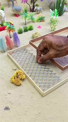 Tiny House Built in 4 Hours: Unbelievable Project