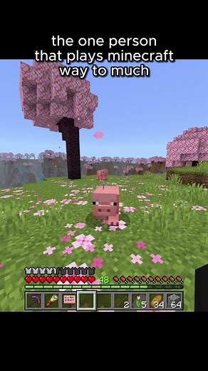 Exploring the Minecraft Himeji Castle Build