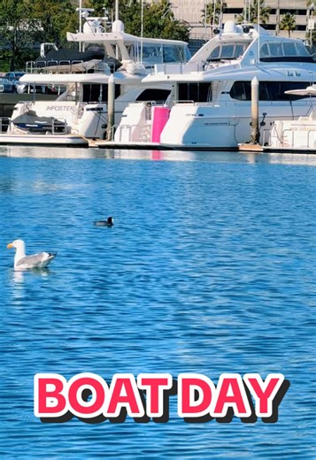 Let’s Get Lost: BOAT DAY #boatlife #yacht #fyppp #viralllllll #tanning