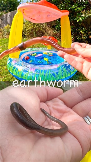 Kids Learn at the Toadstool Pool | Bug Insect Names: Earthworm Dragonfly Ant Millipede Crane Fly