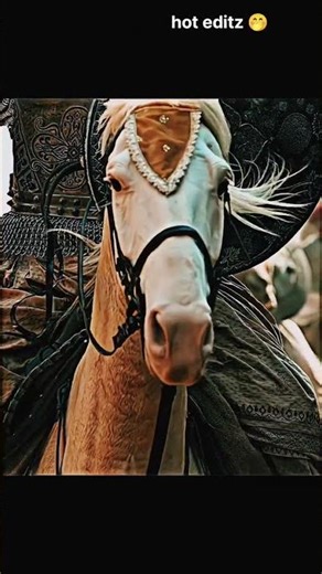 Chhava: The Unstoppable Lion 🦁🔥 #Chhava