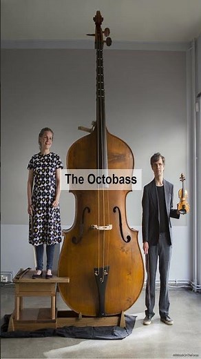 Beyond the Bass: Exploring the Giant Octobass #shorts #aminuteonthefocus