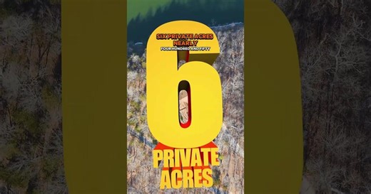 Private Waterfront Retreat With Six Acres & 450 Feet Of Shoreline: Under $600K