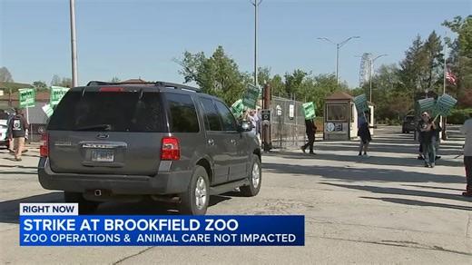 Some exhibits closed at Brookfield Zoo amid strike