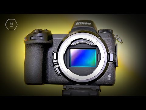 Nikon Z8 - Dream Camera | Matt Irwin