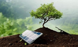 Download Solar panel and tree symbolizing sustainable energy for free