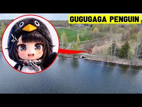DRONE Catches GUGUGAGA PENGUIN in REAL LIFE! (WE FOUND HIM!)