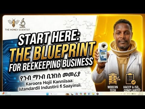 Starting a Honey Business: The Infrastructure & Investment Reality
