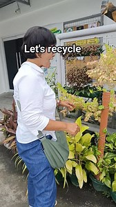 Very creative way to recycle our used containers. #fbreels #highlights2025 #followerseveryone #everyonefollowers #plantita #plantsmakepeoplehappy #teamangatan | South Victoria Garden