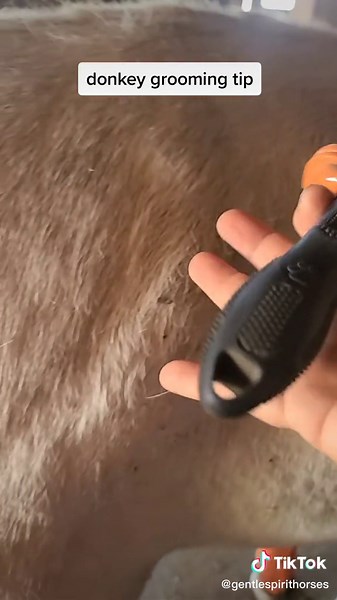 Furminator: Ideal for Donkey Grooming in South Dakota