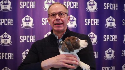 Strut Your Mutt - A Message from Eric Broughton | Eric Broughton