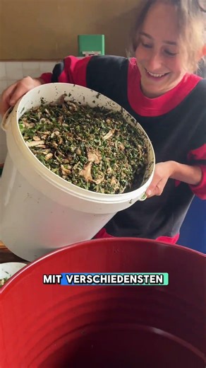 Löwenzahn gegen Long-Covid