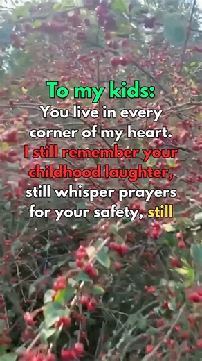 16K views · 588 reactions | Your happiness will always be my greatest victory | Life in Lines | Facebook