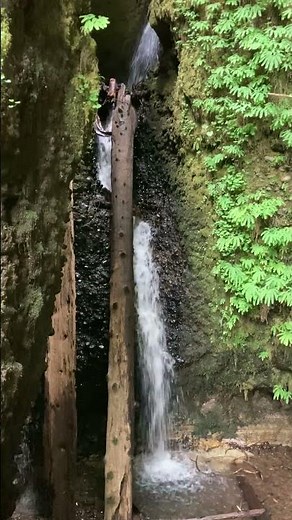 Chinquapin Falls Oregon #hiking #hikeoregon