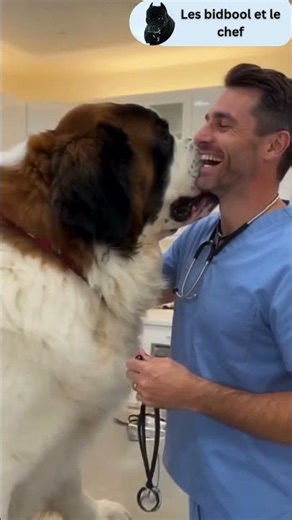 When Your 'Quick Check-Up' Turns Into a Cuddle Session! 🐾😂