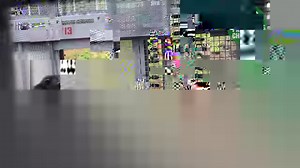 3.5K views · 100 reactions | At a sanctuary, Independence Day takes...