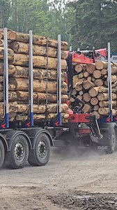 Timber 😍 #forest #forestry #forester #timber #logger | Forestry Journal