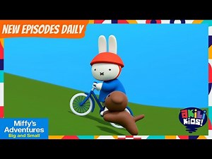 Miffy's Adventures Big And Small | Miffy's New Bicycle | Akili Kids!