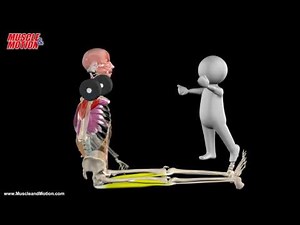 Seated shoulder press, Sitting with straight legs