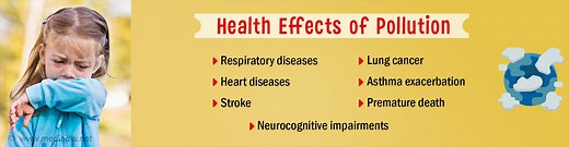 Effects of Air Pollution on Health