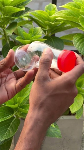 Simple, useful & made from waste materials! 🔥✨#diy #toothpickholder #creativediy