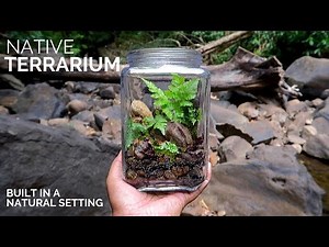 Native terrarium built in a natural setting