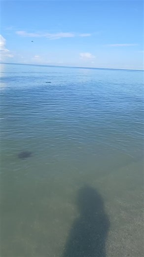 Michael Britt on Reels