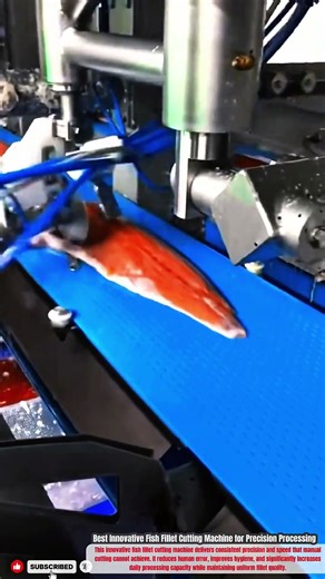 Best Innovative Fish Fillet Cutting Machine for Precision Processing