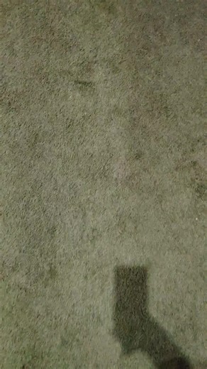 #Viral #fyp #pennywise #trending #haloween