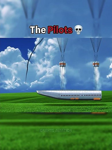 The Pilots Went Down With The Plane..💀 #shorts #aviation #pilot #planecrash