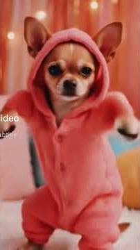 pappi dance video 🐕