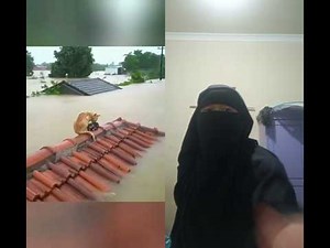 pemandangan yang pilu ,ibu dan anak kucing terjebak banjir #sedih #ibu #cat #reaction #shorts