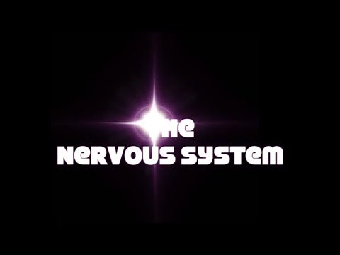 The Nervous System (VETERINARY TECHNICIAN EDUCATION)