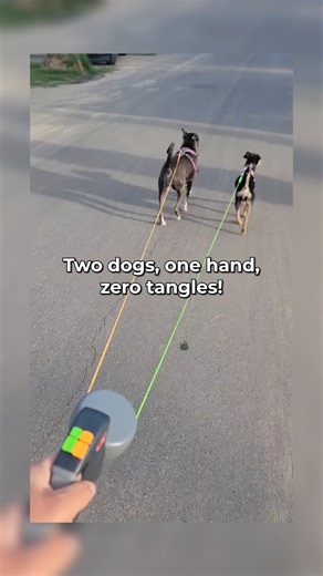 7.2K views | Say goodbye to leash tangles! TangleFree’s 360° swivel design gives you total control over two dogs at once, so you can enjoy relaxed, tangle-free walks—day or night.  | Lettuce Pets | Facebook