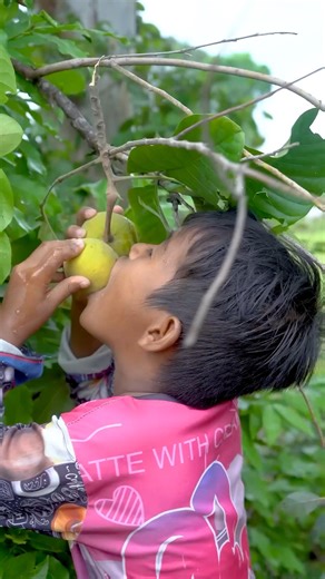 eating fruit from tree 🤯🍊