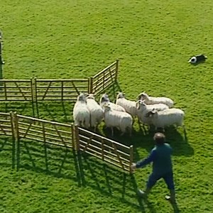 238K views · 7.3K reactions | Mr. Bean takes a parking space when he sees one 藍 | Mr Bean | Facebook